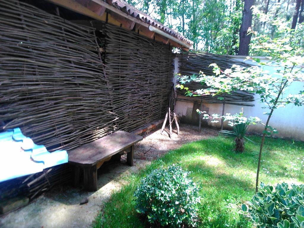 Kolkhida Resort & Spa ウレキ エクステリア 写真