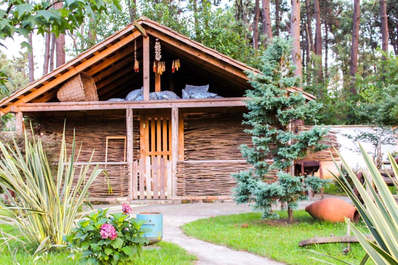 Kolkhida Resort & Spa ウレキ エクステリア 写真