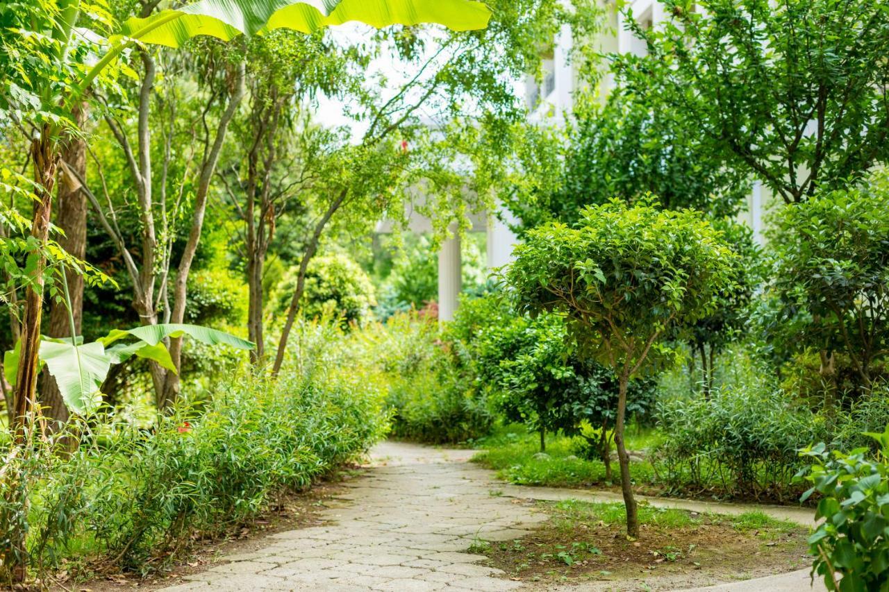 Kolkhida Resort & Spa ウレキ エクステリア 写真