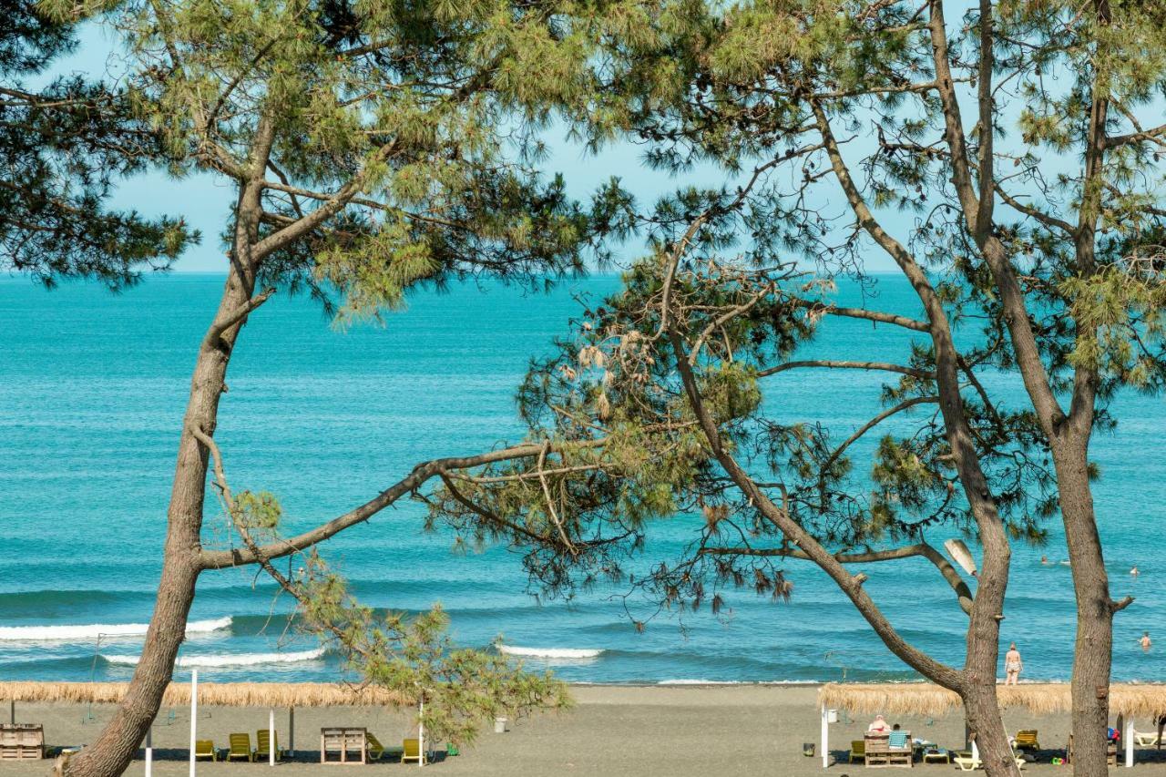 Kolkhida Resort & Spa ウレキ エクステリア 写真