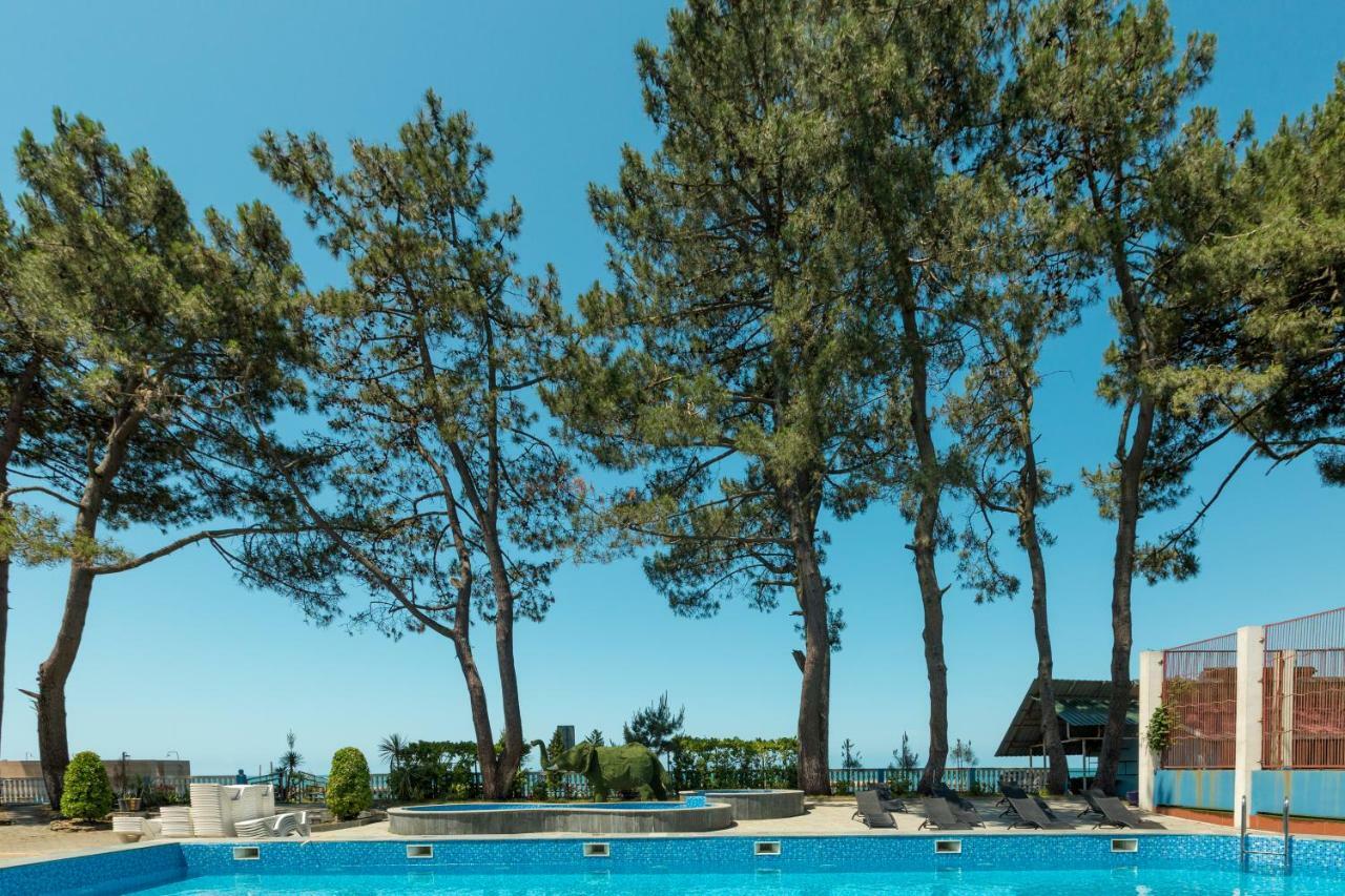 Kolkhida Resort & Spa ウレキ エクステリア 写真
